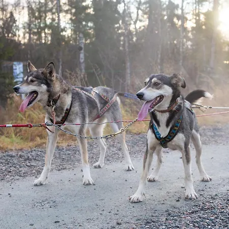 Lanca Activities Pensión