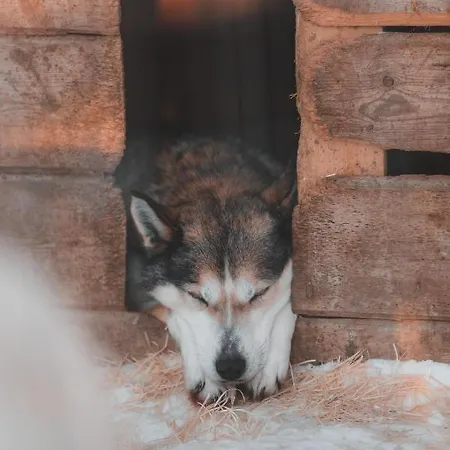 Lanca Activities Inari